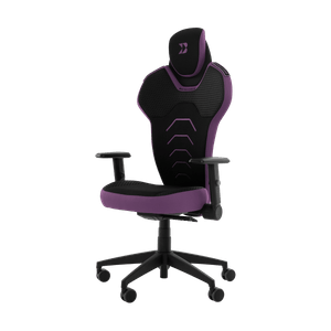 Backforce - V schwarz/lila